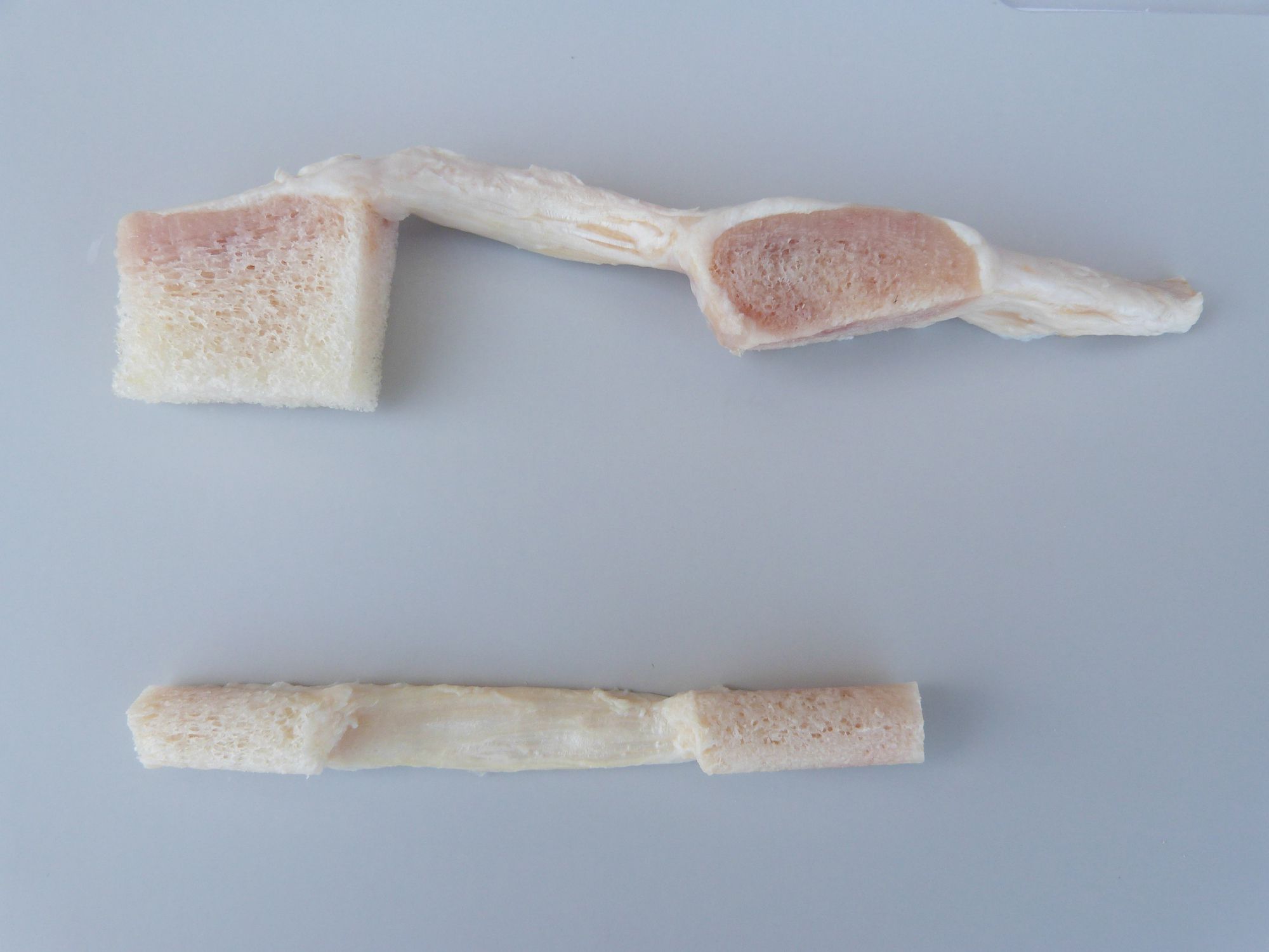 Standard Med Systems 