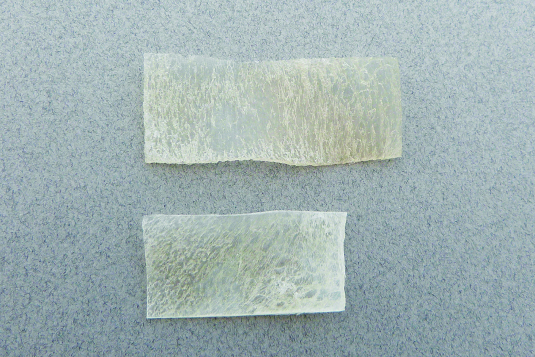 FLEX IT FRZ DRIED TWO GRAFTS