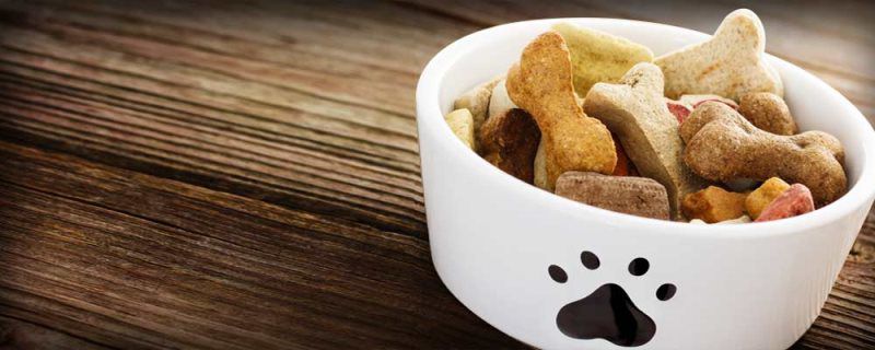 dog food