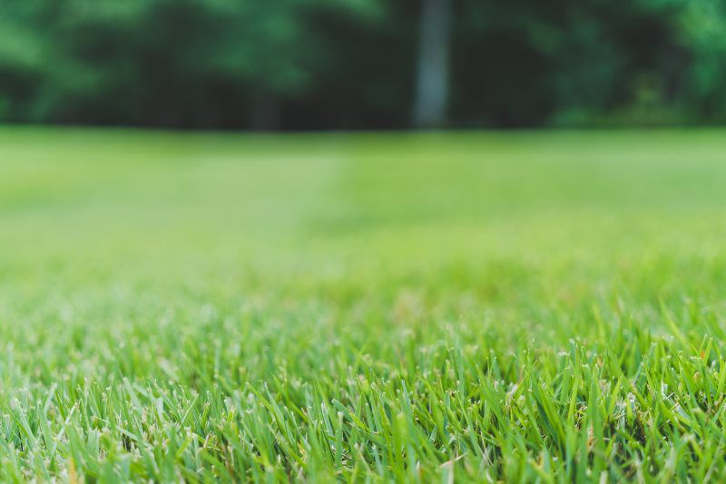 Gallery Green Machine Lawn Care