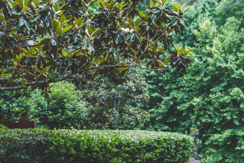 Green Machine Lawn Care in Acworth GA Green Machine Lawn Care