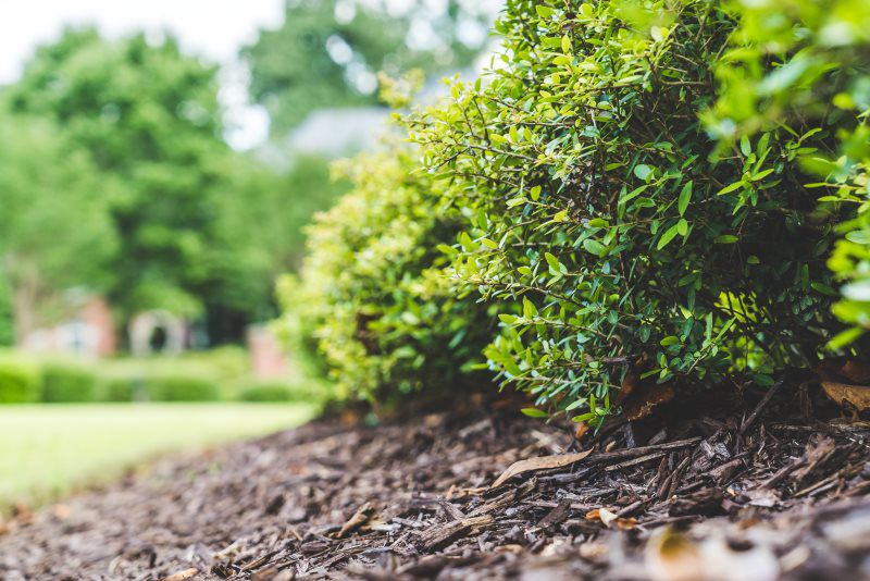 Gallery Green Machine Lawn Care