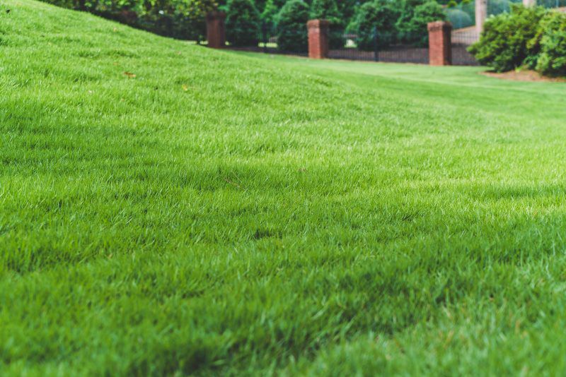 Green Machine Lawn Care in Acworth GA Green Machine Lawn Care