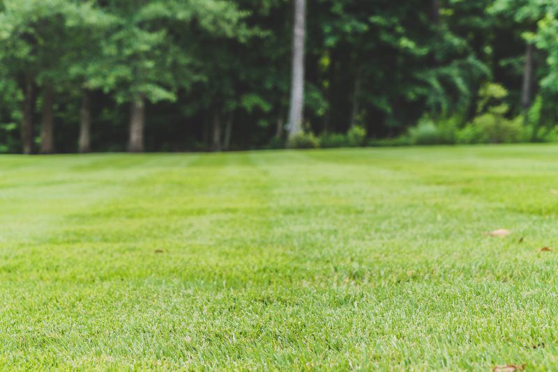 Green Machine Lawn Care in Acworth GA Green Machine Lawn Care