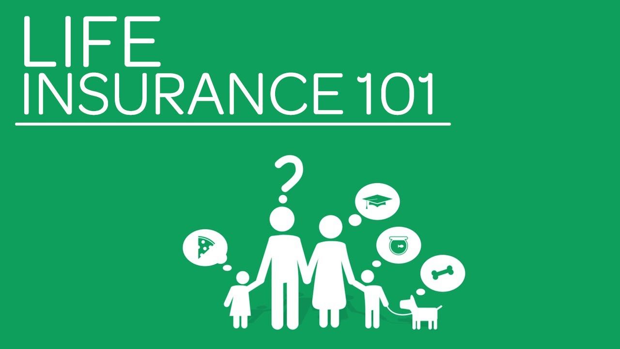 Home Mauro Insurance Group