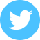 twitter icon