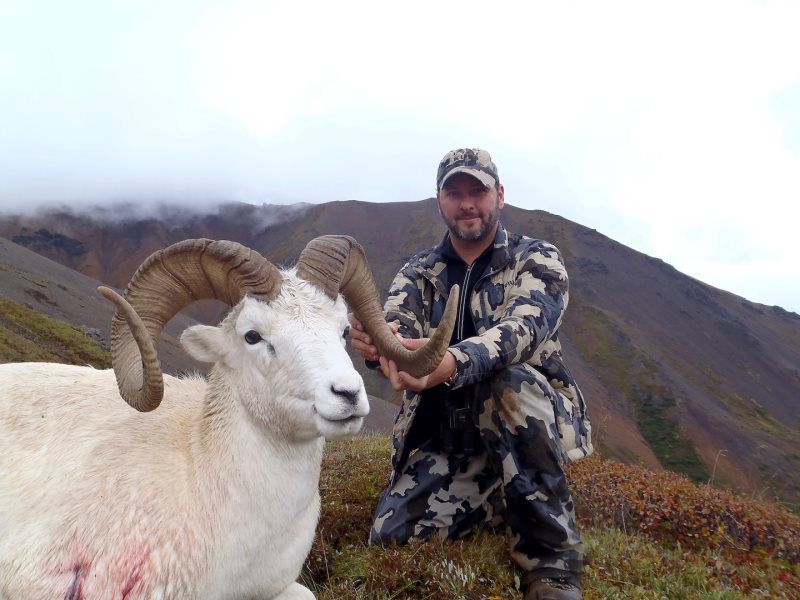 Dall Sheep Hunting 
