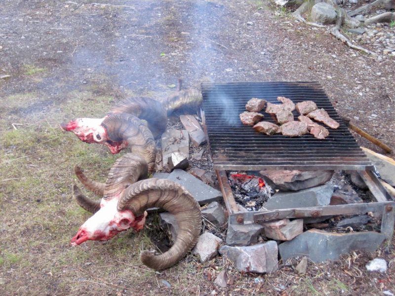 Horns and steaks