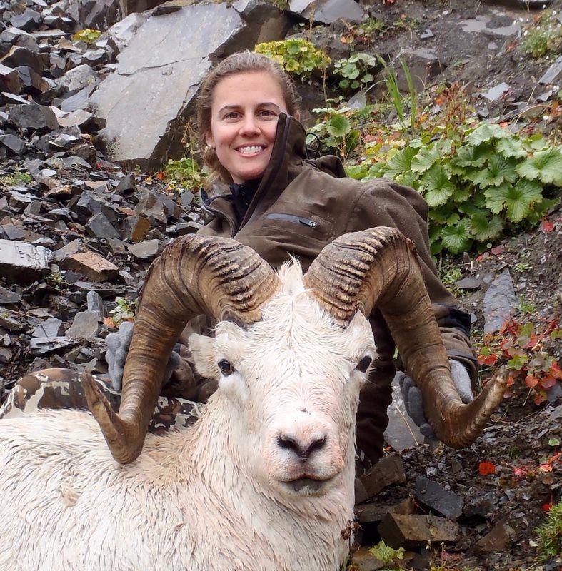 Dall Sheep Hunting 