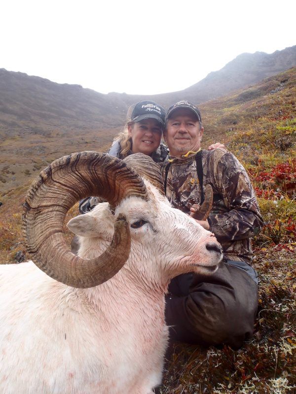 Dall Sheep Hunting 