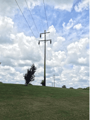 temp-post-image